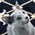 Deb Harvey's profile image