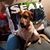 Tracy Russell's profile image