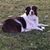 Debra Rice's profile image
