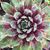 Mary Sue Metzger's profile image