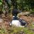 Janice James Fitkin's profile image