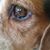 Grace Arriaga's profile image
