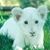 Lee Casselman's profile image