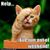 Tiff Skinner's profile image