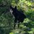 Merna Baker Blagg's profile image