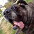 Neil Mathews's profile image