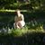 Sheryl Arends's profile image