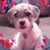 Julie Hemmelgarn's profile image