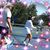 Sandra Anderson's profile image
