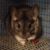 Kenneth Troy Bass's profile image