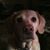 Mary Johns's profile image