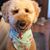 Carol Leigh Griffin's profile image