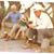 Stacie Hillje Swan's profile image