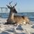 MaryAnn Powell's profile image