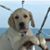 David Fairchild's profile image