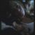 Andrea Chiselbrook Travis's profile image