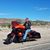 Tammy Crabtree LaBay's profile image