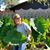 Patti Schindler's profile image