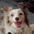 Deanna Beckett Geldens's profile image