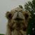 Cheryl Ensenbach's profile image