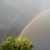 Christine Duffy's profile image