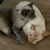 Dawn Iffland's profile image