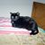 Cheri Halda's profile image