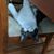 Nancy Davis Gagne's profile image