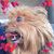 Patrick McCall's profile image