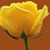 Martha Rachal's profile image