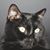 Karen Gelineault's profile image