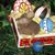 Cindy Dornon's profile image