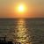 Claire Dwier Zarr's profile image