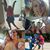 Liz Lamie Hauff's profile image