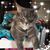 Sherry Scott-Huchko's profile image