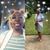 Shawnte Tenise Leland's profile image