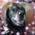 Jan Drotos's profile image