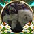 Allee Calhoun Ulerick's profile image