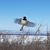 Glen Bilodeau's profile image