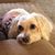 Nicole Cantzler's profile image