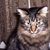 Lynda Adam Booker's profile image