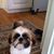 Cathy Vincus's profile image