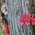 Kelly Sheard's profile image