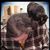 Crissy Diehl's profile image