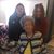 Carolyn Lawrence Granger's profile image