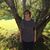 Frances Shaffer's profile image
