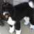 Linda Stirton Vermillion's profile image