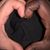 Marcus Gray's profile image