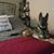 Tracy Tucker Ludlum's profile image