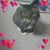Joann Frederick's profile image